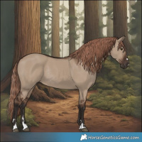 Horse Color:Liver Red Dun Rabicano 