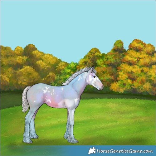 Horse Color:Watercolor White Spotted Silver Brown 