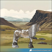 Horse Color:White Spotted Silver Smoky Grullo 