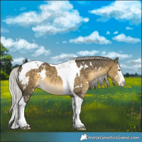 Horse Color:White Spotted Silver Buckskin Dun Splash Tobiano