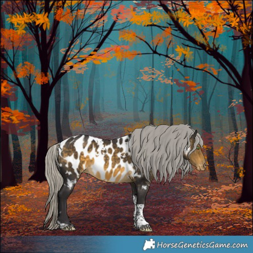 Horse Color:White Spotted Silver Buckskin Tobiano Appaloosa 