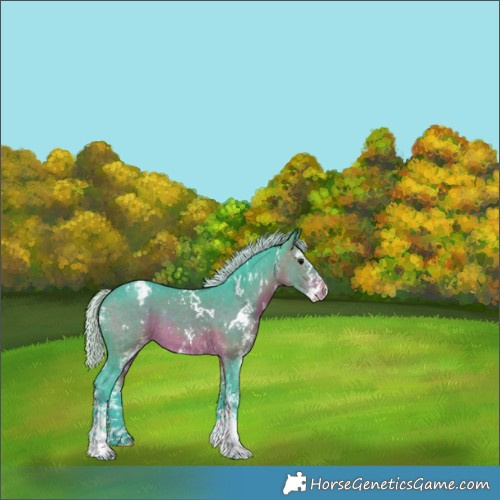 Horse Color:Watercolor White Spotted Silver Brown Appaloosa 
