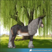 Horse Color:Powder White Silver Brown Tobiano 