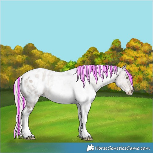 Horse Color:Painted White Spotted Silver Brown Dun Sabino Blanket 