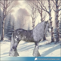 Horse Color:Watercolor White Spotted Silver Brown Chinchilla Ice Dun Rabicano