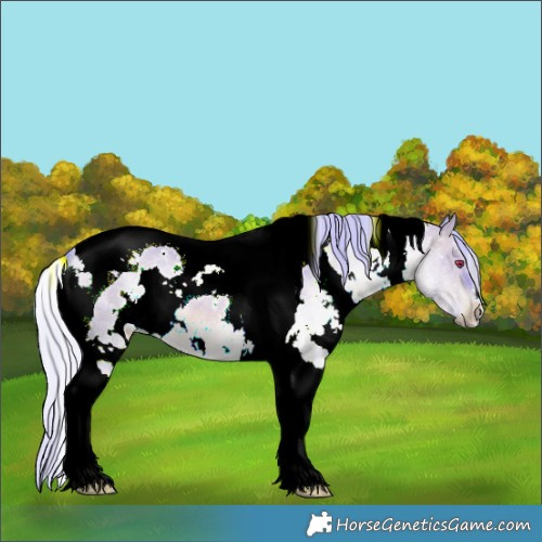 Horse Color:Watercolor White Spotted Silver Brown Chinchilla Dun Tobiano 