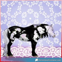 Horse Color:Watercolor White Spotted Silver Brown Chinchilla Dun Tobiano