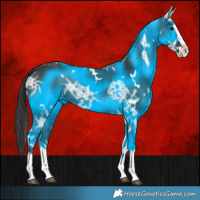 Horse Color:White Spotted Smoky Black Ice Splash Rabicano