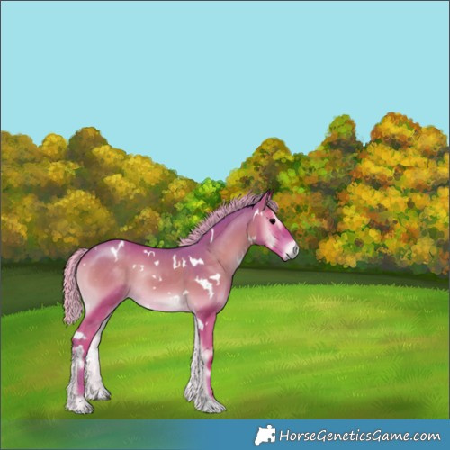 Horse Color:Watercolor White Spotted Silver Blue Onyx Rabicano 
