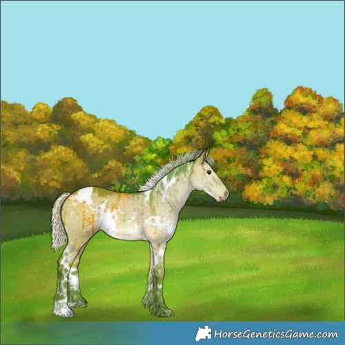 Horse Color:Watercolor White Spotted Silver Brown Dun Rabicano Brindle 