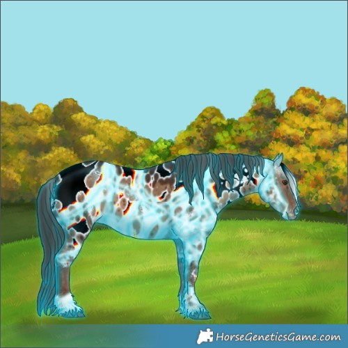 Horse Color:Thunderstruck White Spotted Liver Red Dun Appaloosa Brindle 