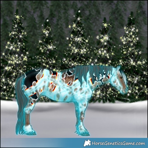 Horse Color:Thunderstruck White Spotted Liver Red Dun Near Leopard Brindle 