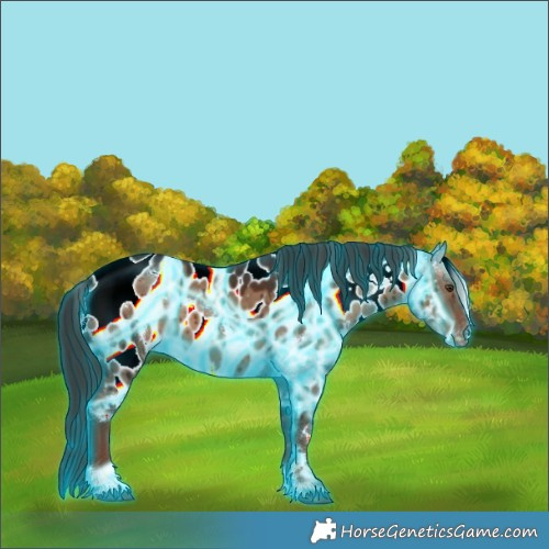 Horse Color:Thunderstruck White Spotted Liver Red Dun Appaloosa Brindle 