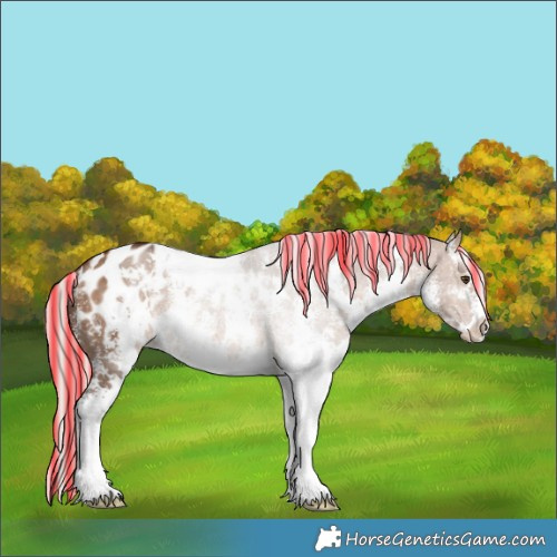 Horse Color:Painted White Spotted Silver Brown Dun Blanket 