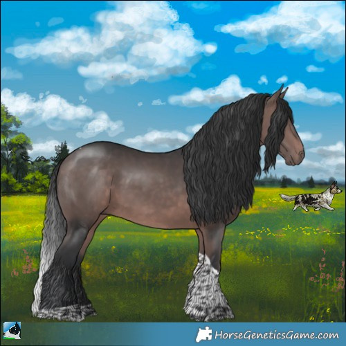 Horse Color:Platinum Bay Tobiano