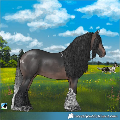 Horse Color:Platinum Bay Tobiano 