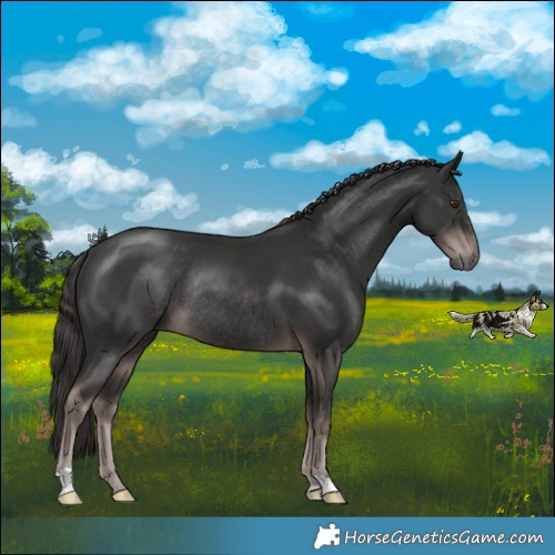Horse Color:Platinum Liver Chestnut Rabicano 