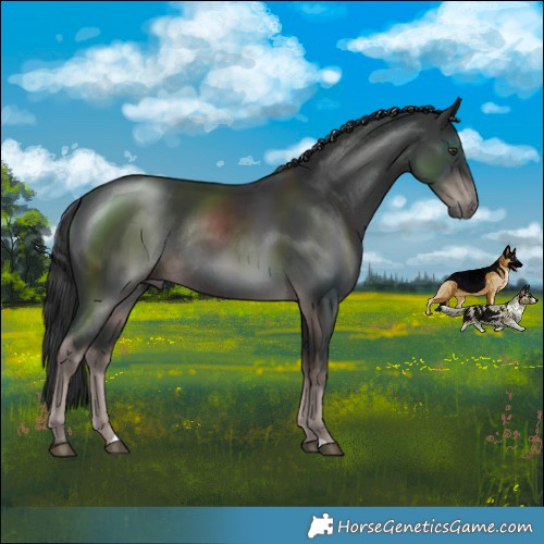 Horse Color:Platinum Liver Chestnut Rabicano 