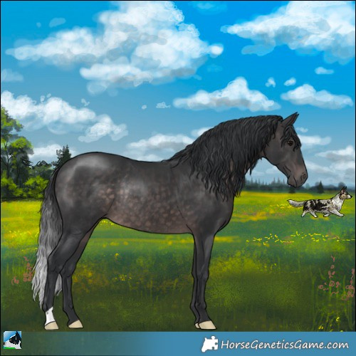 Horse Color:Platinum Brown Rabicano