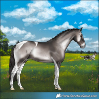 Horse Color:Platinum Liver Red Onyx Tobiano Rabicano 