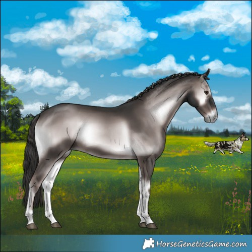 Horse Color:Platinum Liver Red Onyx Rabicano 