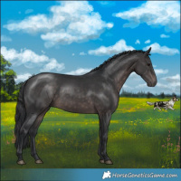 Horse Color:Platinum Brown 