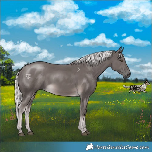 Horse Color:Platinum Chocolate Palomino