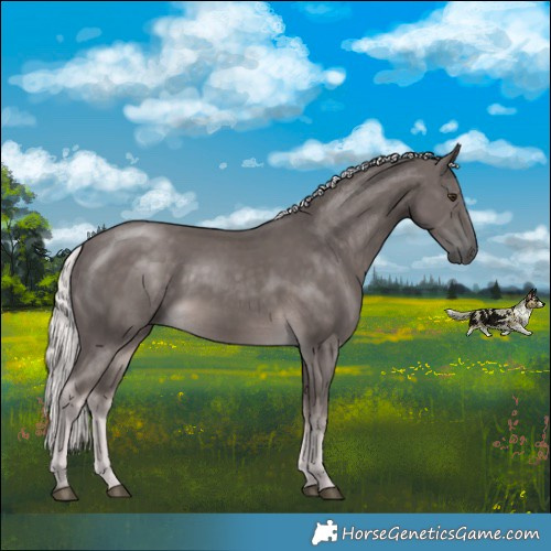Horse Color:Platinum Chocolate Palomino