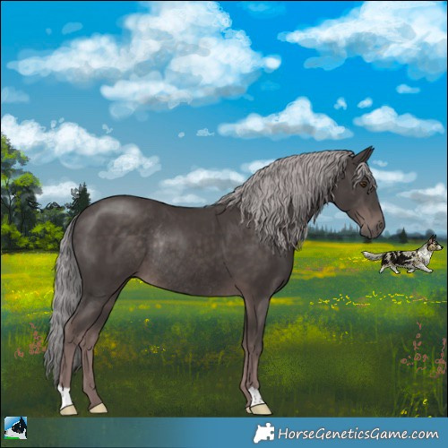 Horse Color:Platinum Liver Chestnut Rabicano 