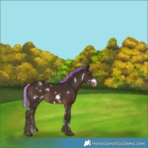 Horse Color:Painted White Spotted Silver Brown 