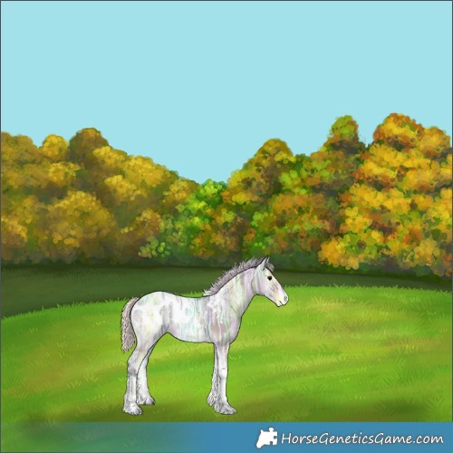 Horse Color:Watercolor Silver Blue Onyx Ice Tobiano Blanket Brindle 