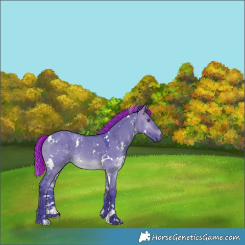 Horse Color:Painted Watercolor White Spotted Brown Chinchilla Dun 