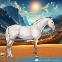 Horse Color:Silver Classic Champagne Roan Dun 