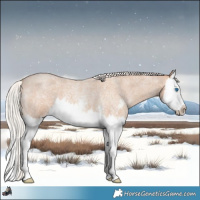 Horse Color:Silver Classic Champagne Roan Sabino Splash 