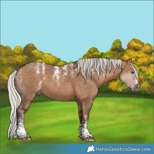 Horse Color:Powder White Silver Bay Dun 