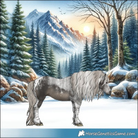 Horse Color:Powder White Gray Silver Smoky Black Tobiano 