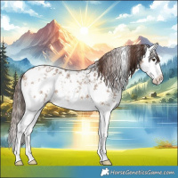 Horse Color:Bay Dun Sabino Splash Blanket 