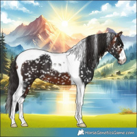 Horse Color:Brown Tobiano Snowflake Varnish
