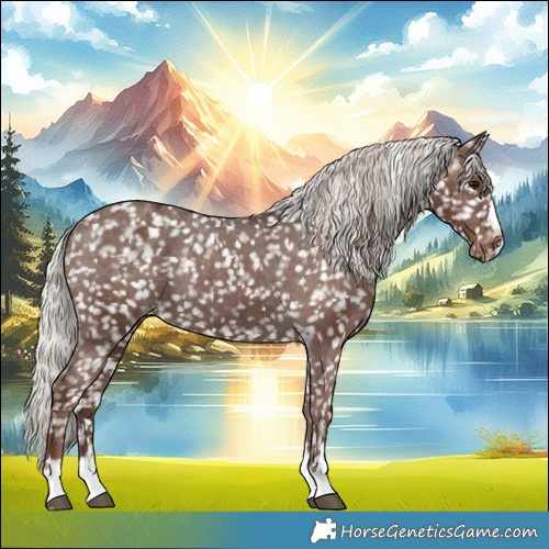 Horse Color:Silver Black Appaloosa 