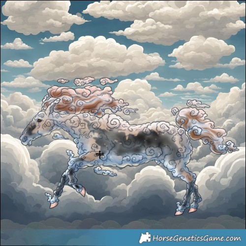 Horse Color:Void Red Dun Splash Frame 