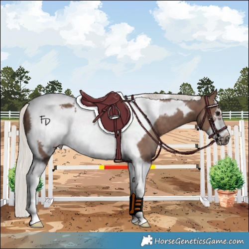 Horse Color:Silver Black Tobiano Frame 