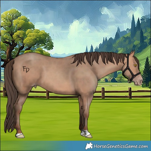 Horse Color:Amber Champagne 