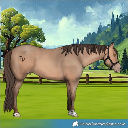 Horse Color:Amber Champagne 