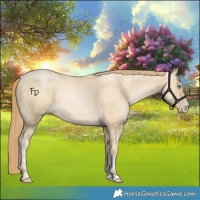 Horse Color:Sable Cream Champagne Pearl Sabino 