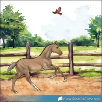 Horse Color:Chocolate Palomino Dun Varnish 