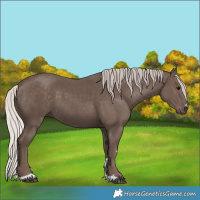 Horse Color:Silver Black 