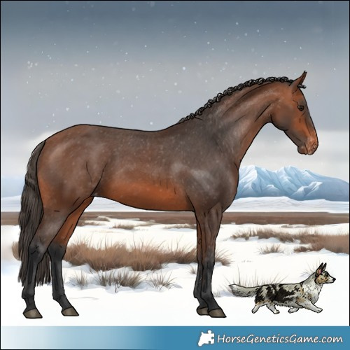 Horse Color:Bay Varnish 