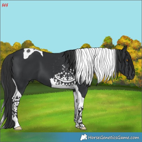 Horse Color:Black Tobiano 