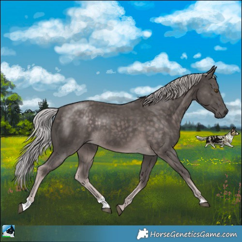 Horse Color:Platinum Chocolate Palomino Rabicano