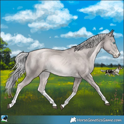 Horse Color:Platinum White Spotted Chocolate Palomino Pearl Rabicano
